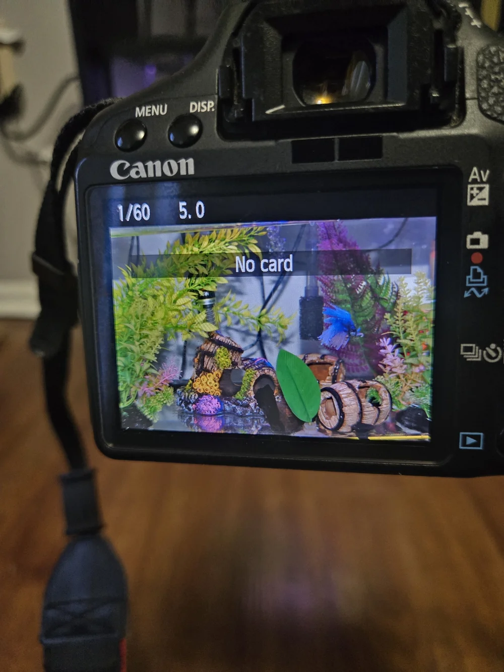 Canon Rebel Eos T1i